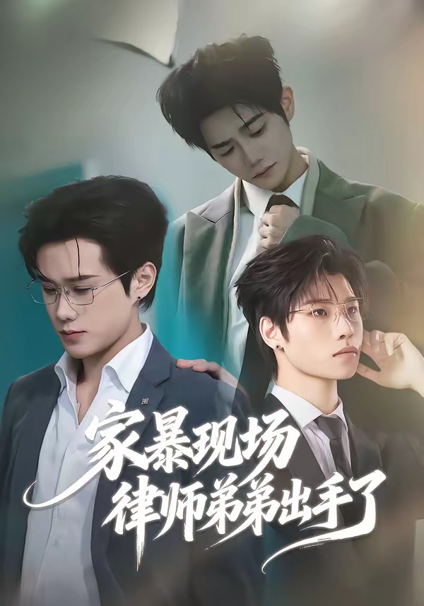 家暴现场律师弟弟出手了海报