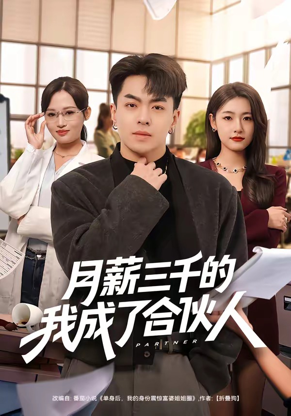 月薪三千的我成了合伙人海报