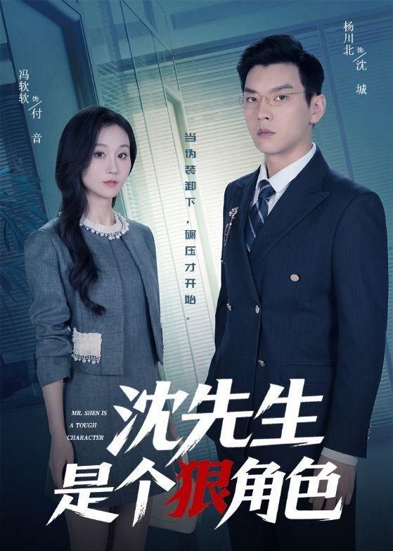 沈先生是个狠角色海报