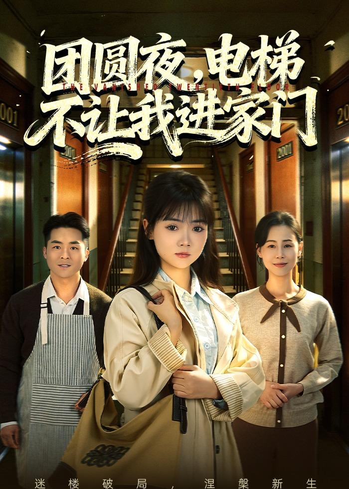 团圆夜，电梯不让我进家门海报