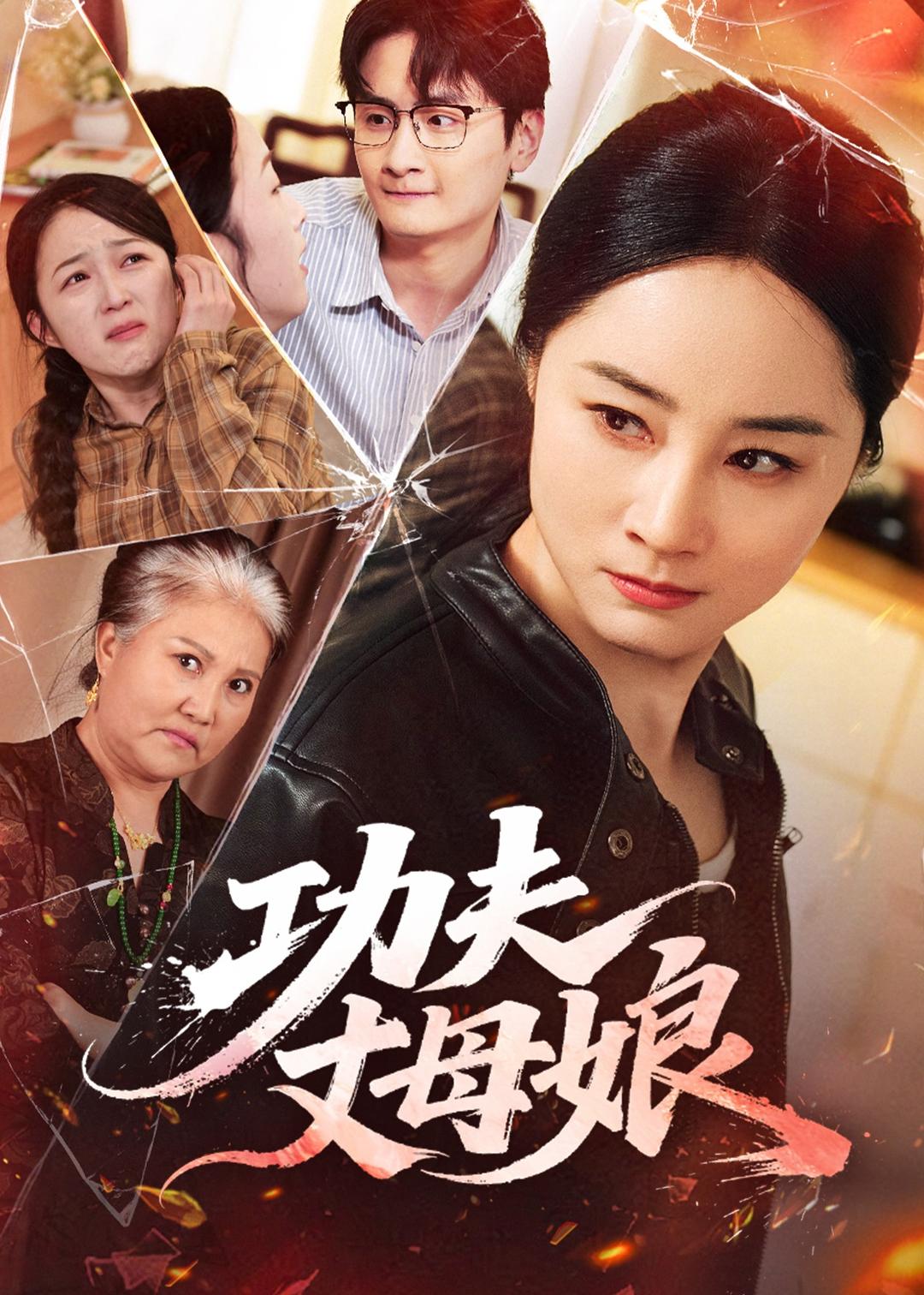 功夫丈母娘海报