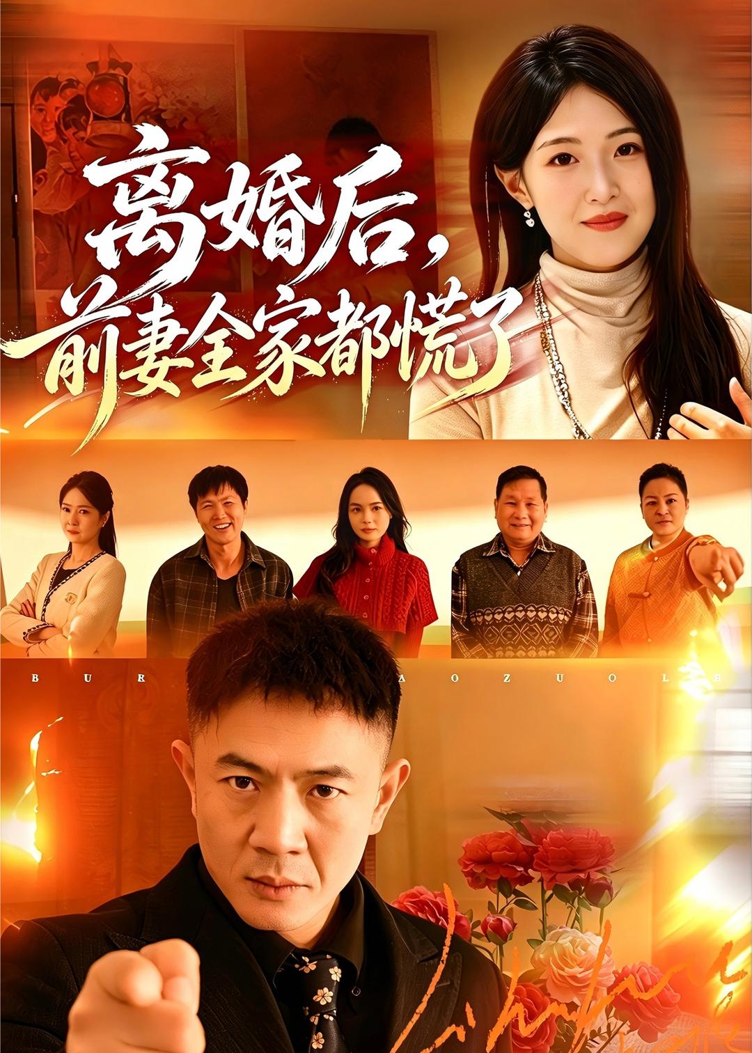 离婚后，前妻全家都慌了海报