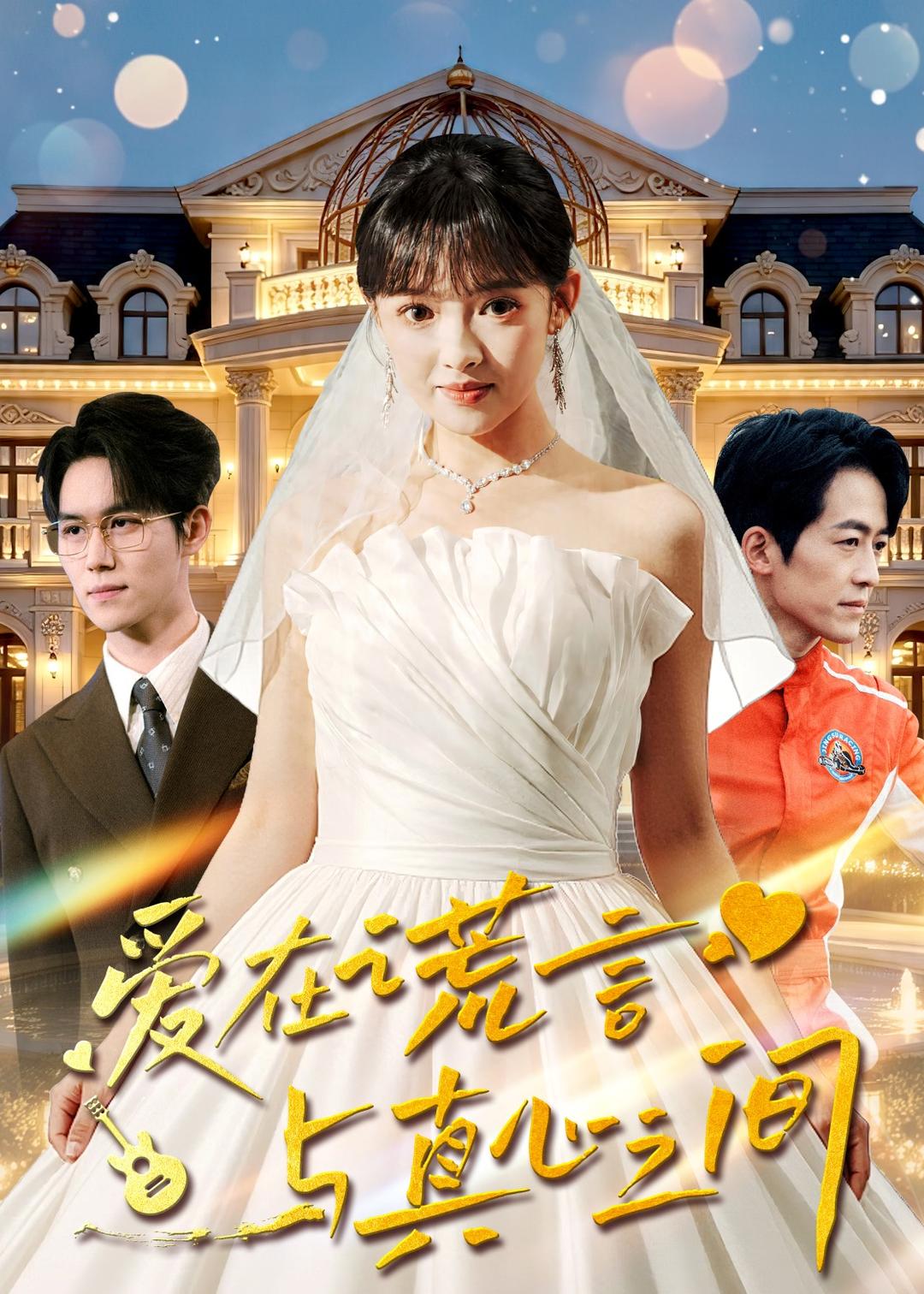 爱在谎言与真心之间海报