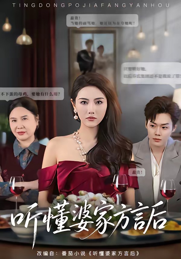 听懂婆家方言后海报