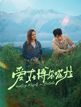 爱在博尔塔拉海报