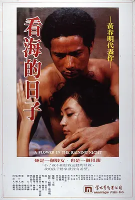 看海的日子海报