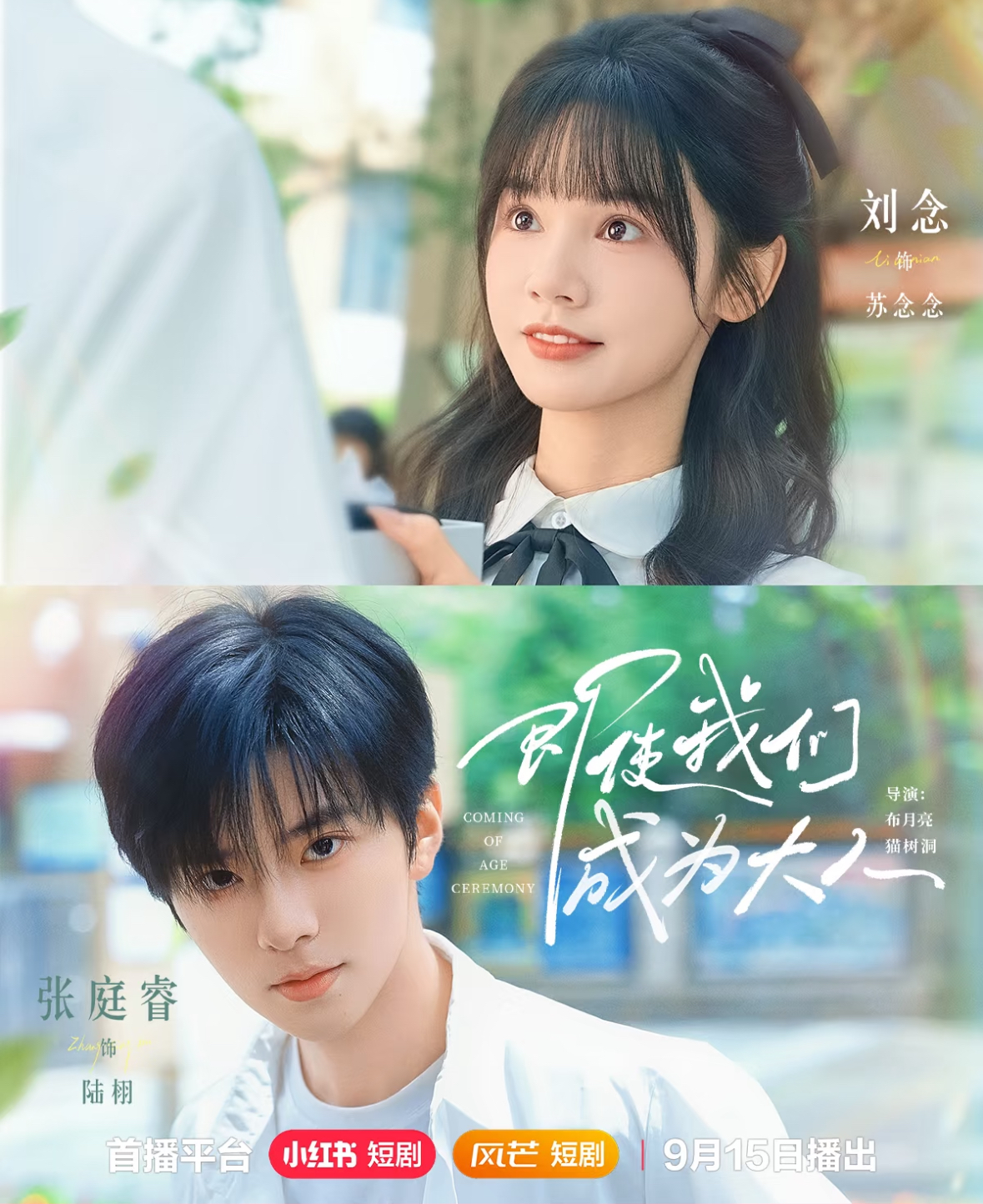 即使我们成为大人海报