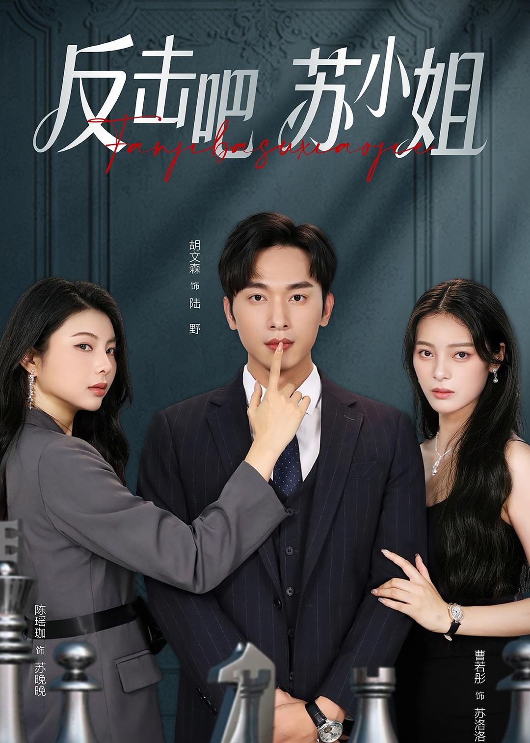 反击吧！苏小姐海报