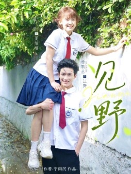 见野海报