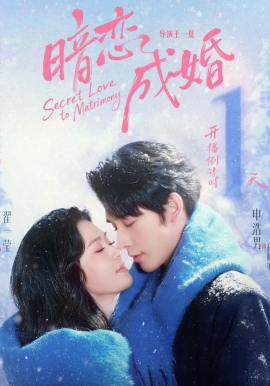 暗恋成婚海报