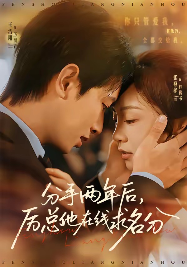 分手两年后，厉总他在线求名分海报