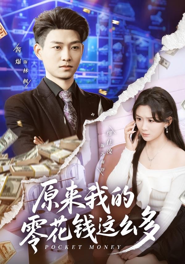 原来我的零花钱这么多海报