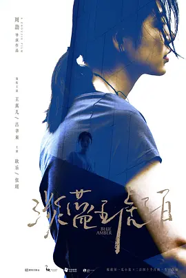 淡蓝琥珀[电影解说]海报