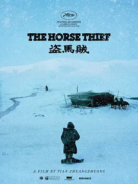 盗马贼[电影解说]海报