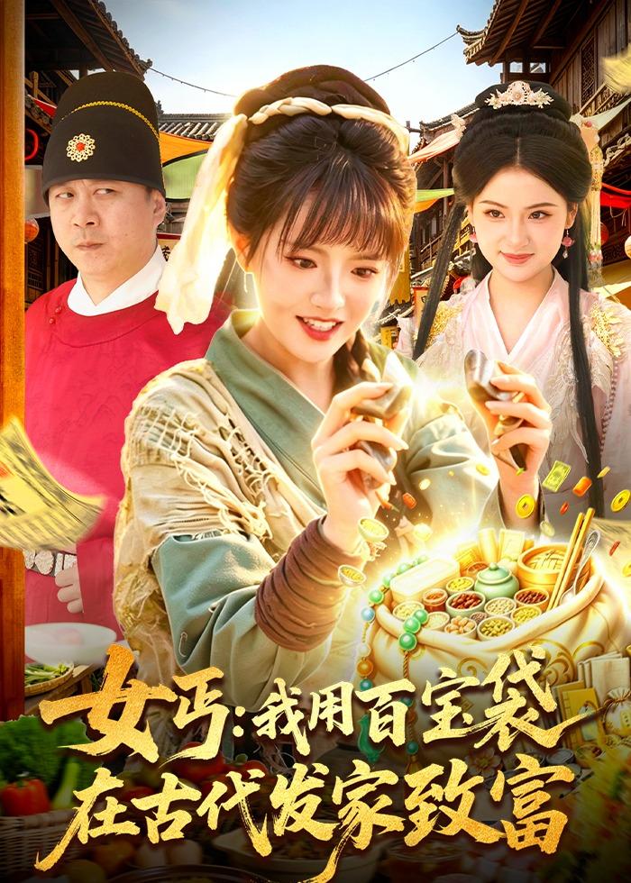 女丐：我用百宝袋在古代发家致富海报
