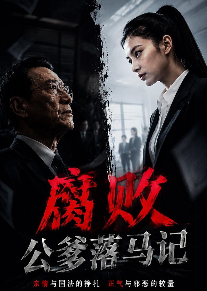腐败公爹落马记海报
