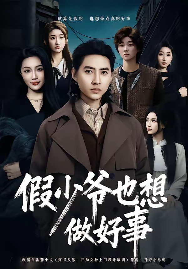 假少爷也想做好事海报
