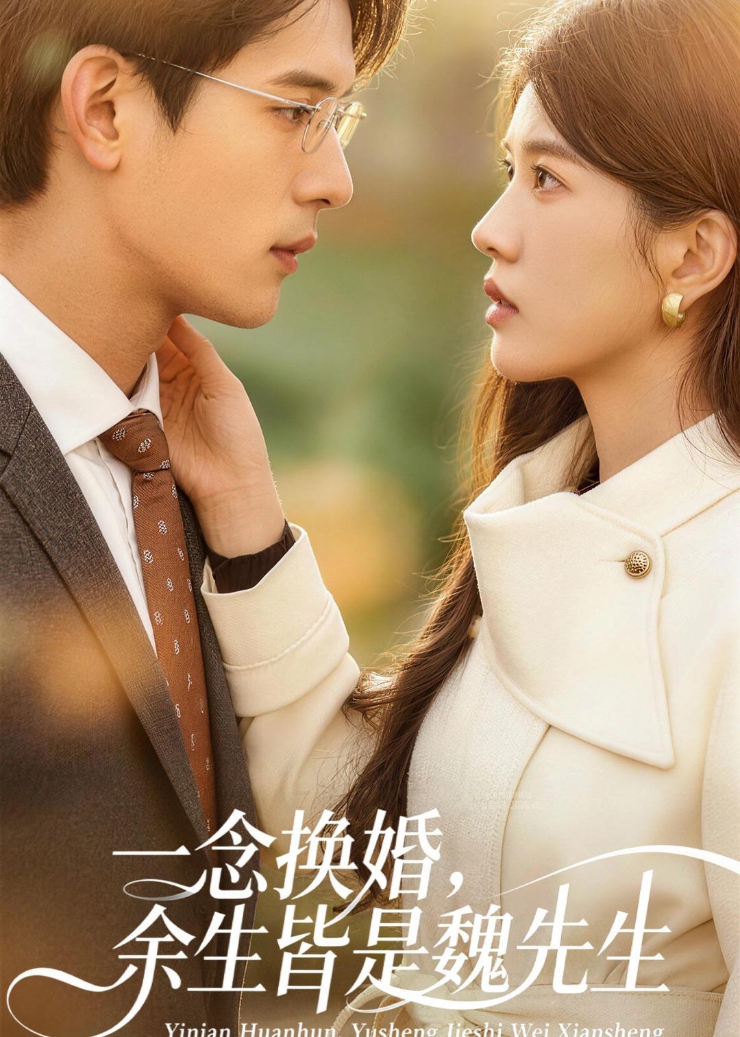 一念换婚，余生皆是魏先生海报