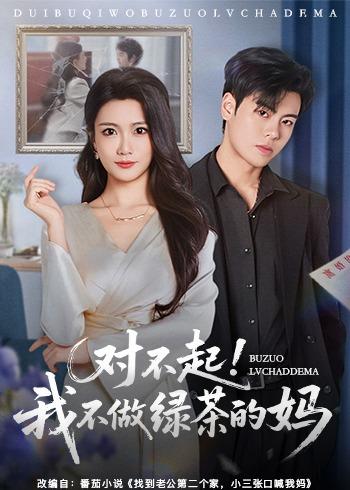 对不起，我不做绿茶的妈海报