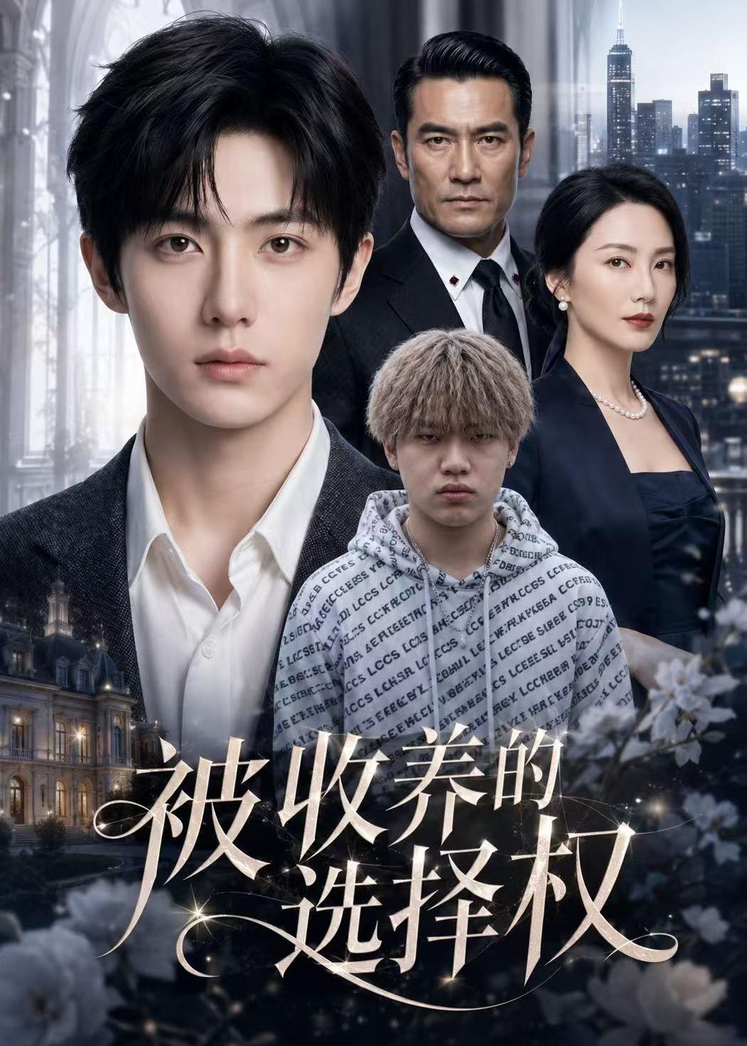 被收养的选择权海报