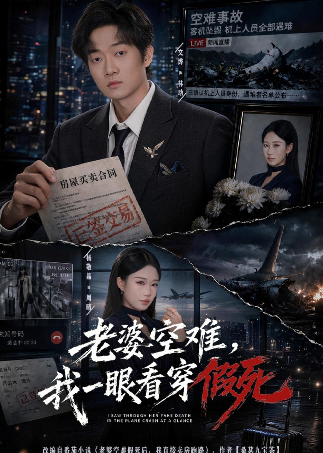 老婆空难，我一眼看穿假死海报