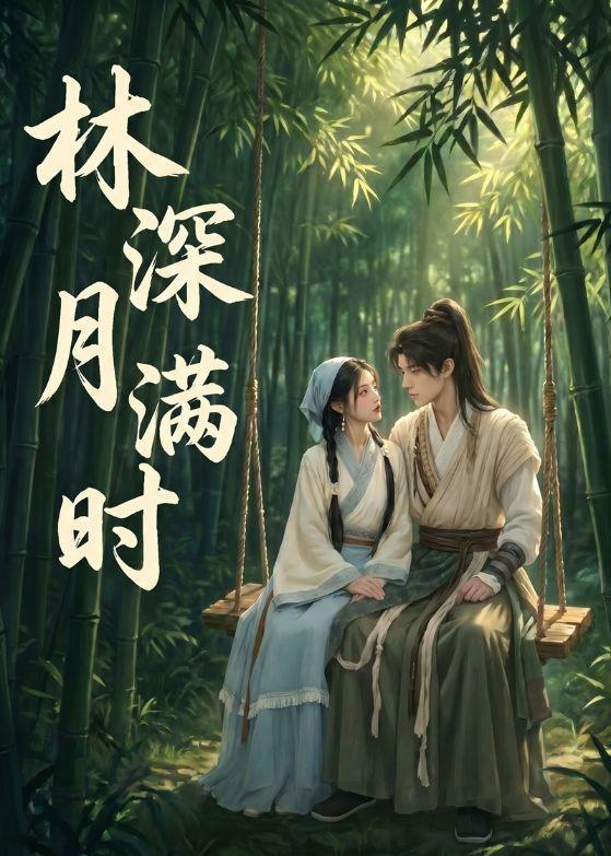 林深月满时海报
