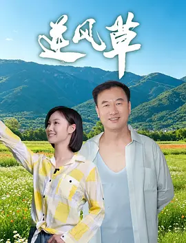 逆风草海报