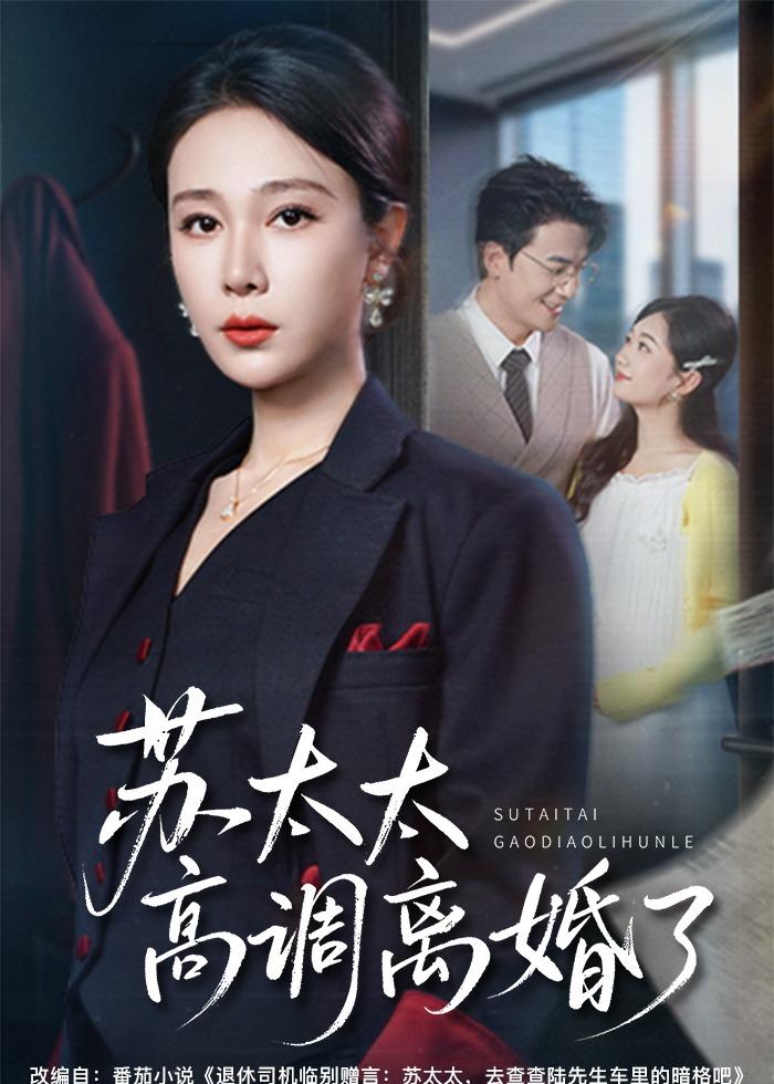 苏太太高调离婚了海报