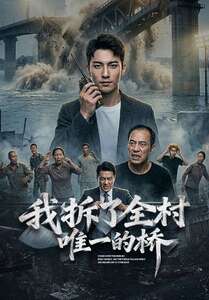 我拆了全村唯一的桥海报