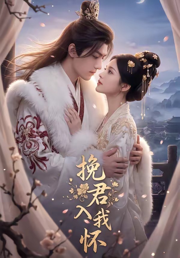 挽君入我怀海报