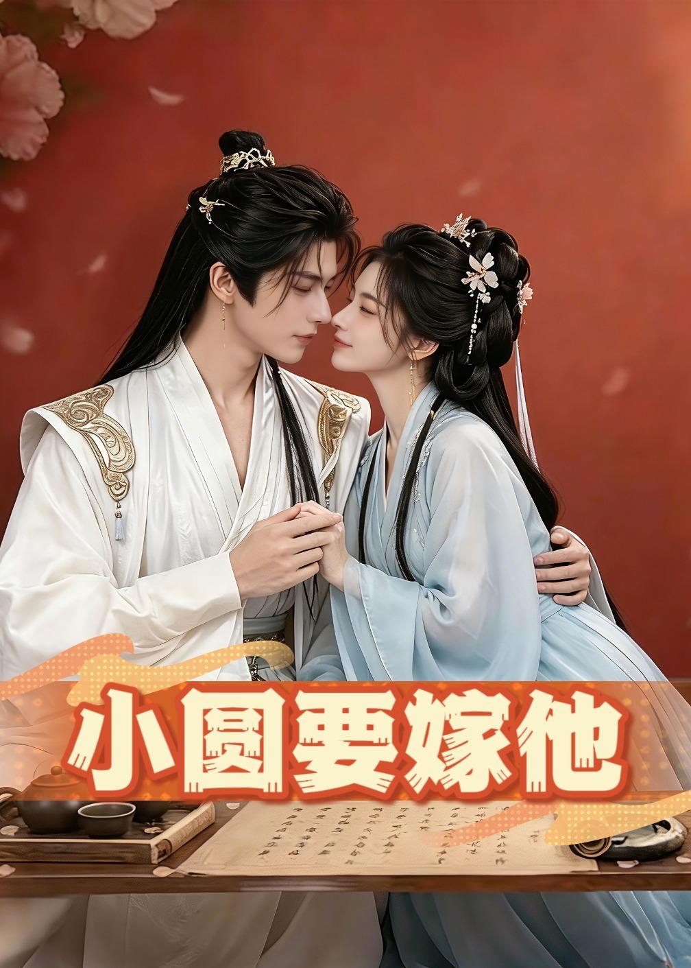 小圆要嫁他海报