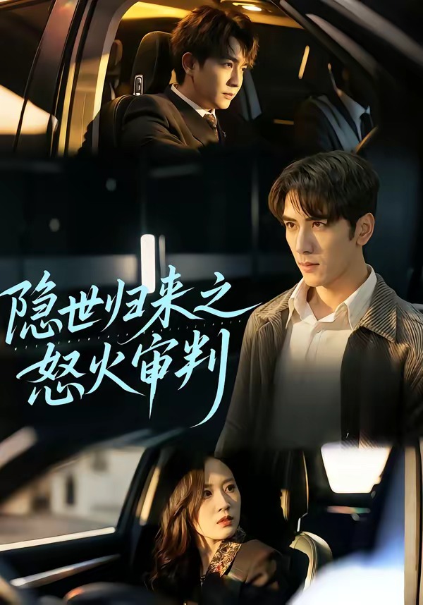 隐世归来之怒火审判海报