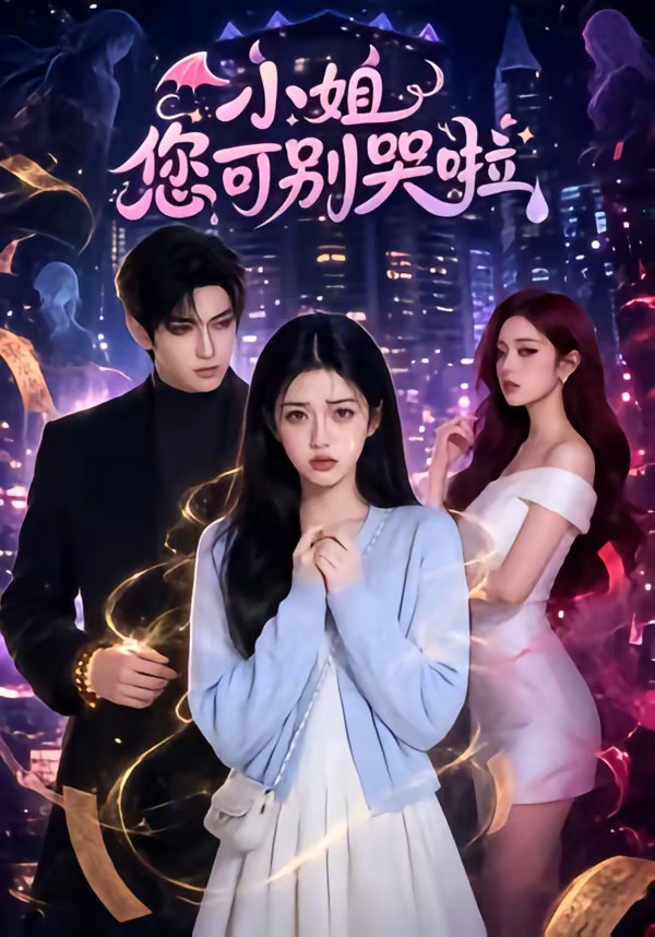 小姐您可别哭啦海报