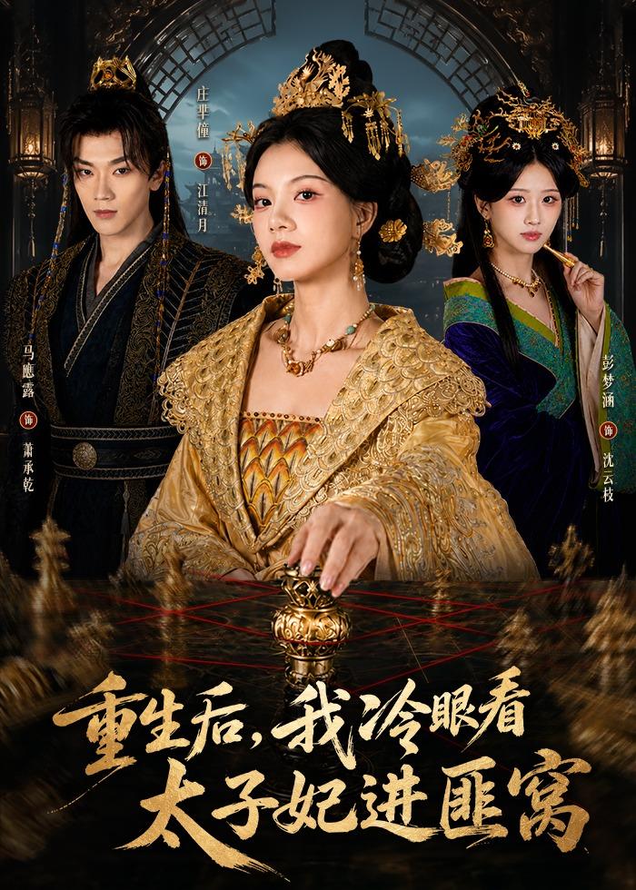 重生后，我冷眼看太子妃进匪窝海报