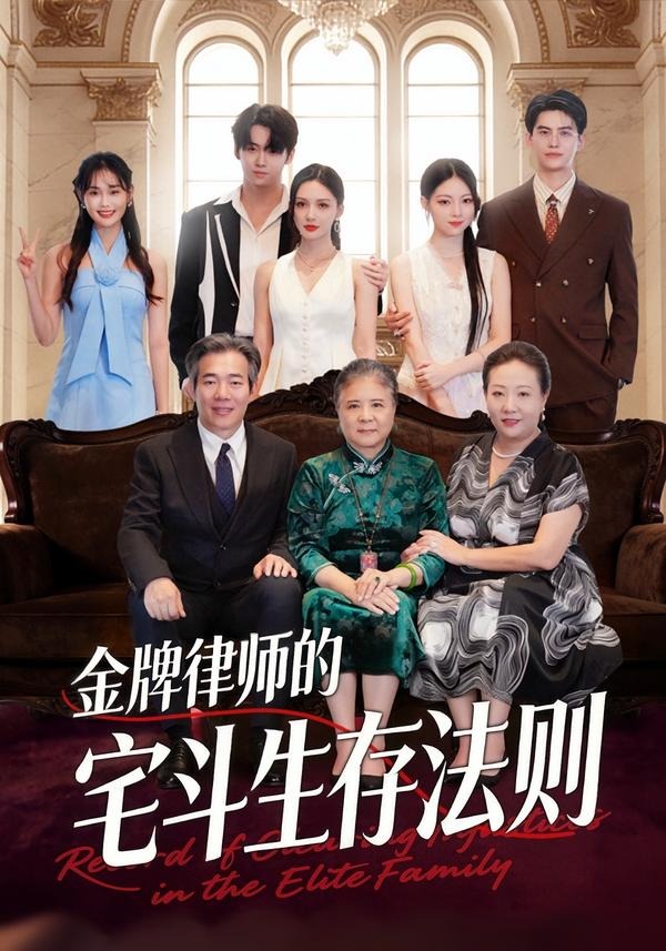 金牌律师的宅斗生存法则海报