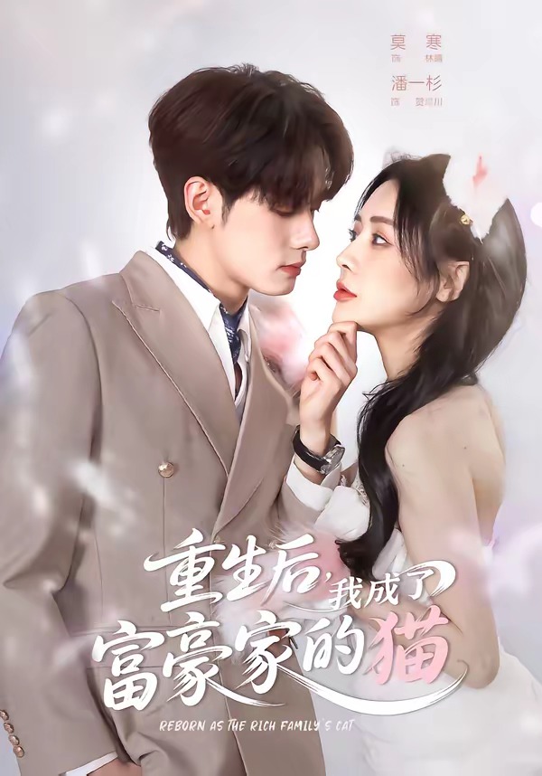 重生后，我成了富豪家的猫海报
