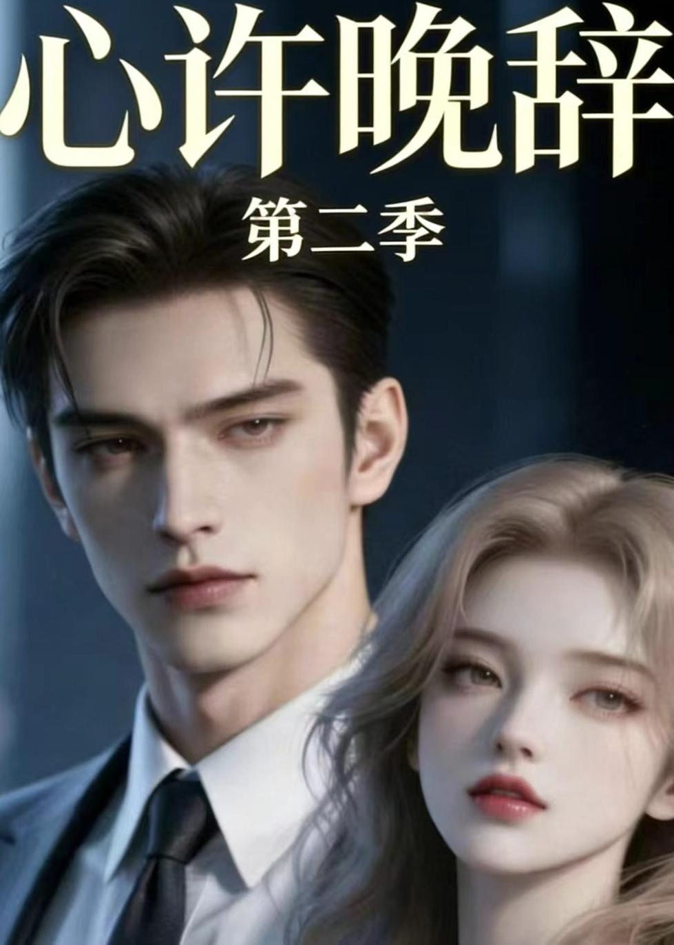 心许晚辞第二季海报
