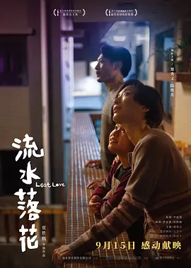 流水落花[电影解说]海报