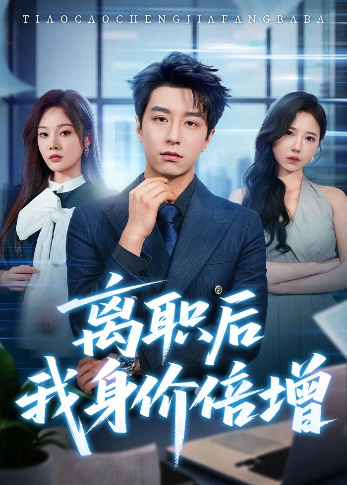离职后我身价倍增海报