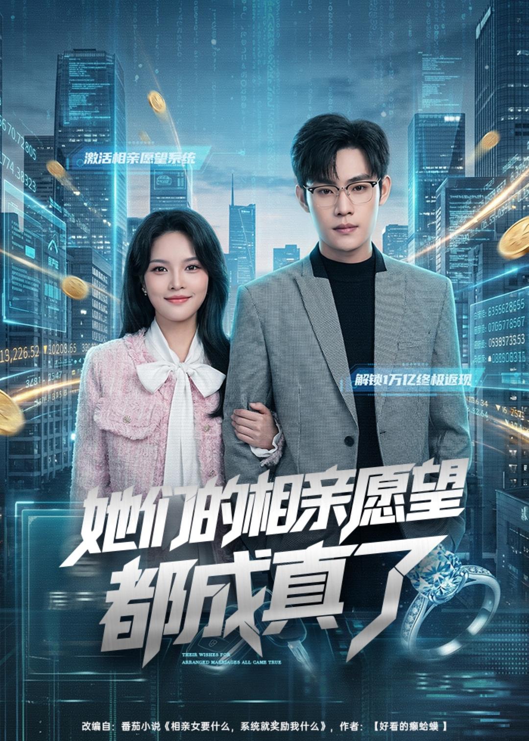 她们的相亲愿望都成真了海报