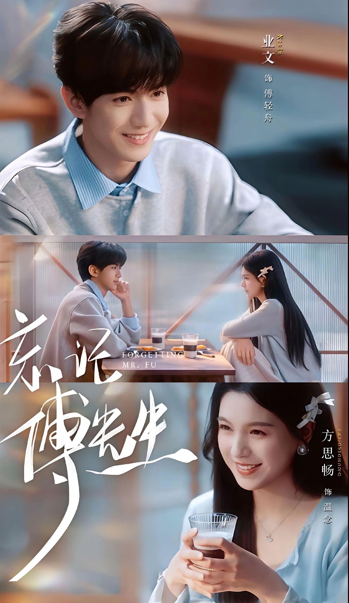 忘记傅先生海报