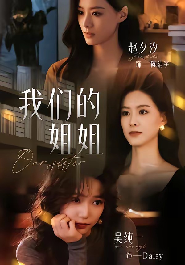我们的姐姐海报