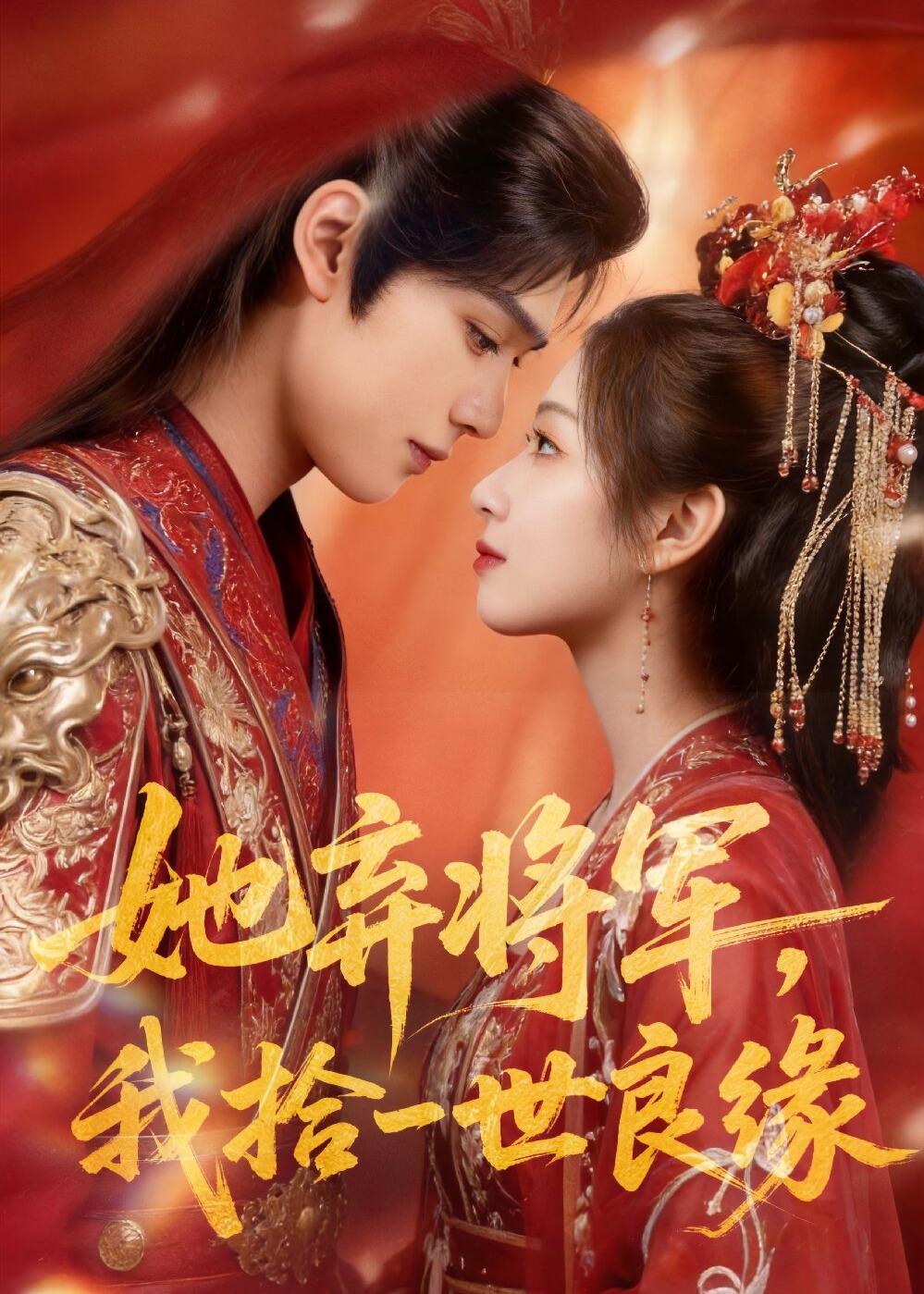 她弃将军，我拾一世良缘海报