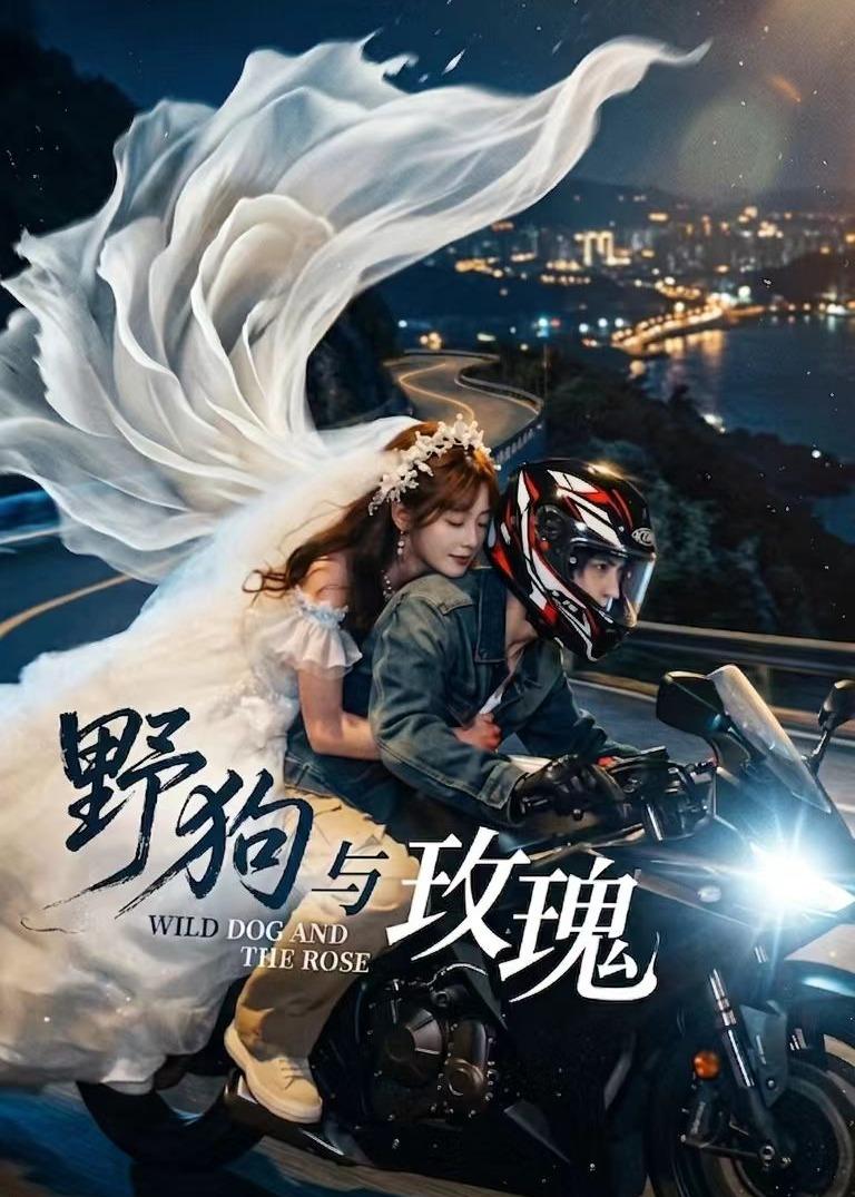 野狗与玫瑰海报