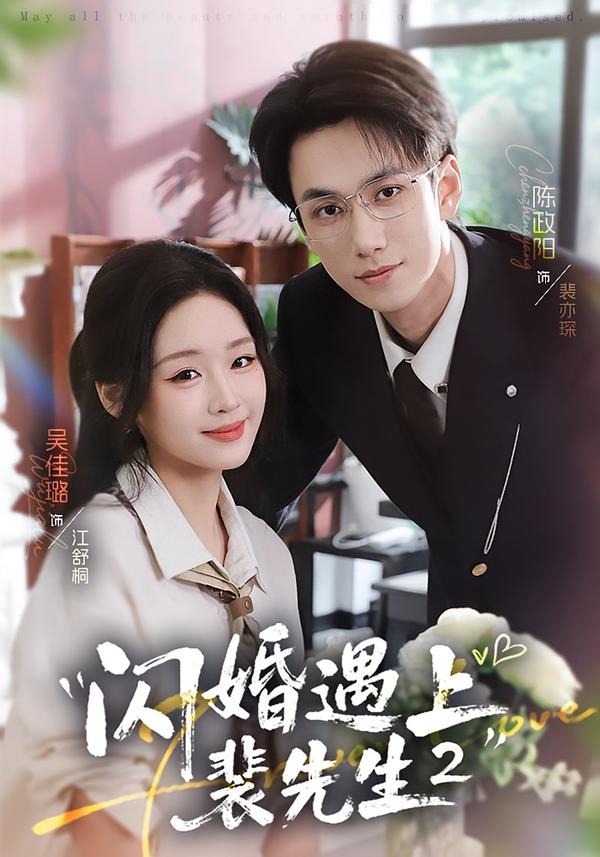 闪婚遇上裴先生2海报