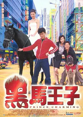 黑马王子[电影解说]海报