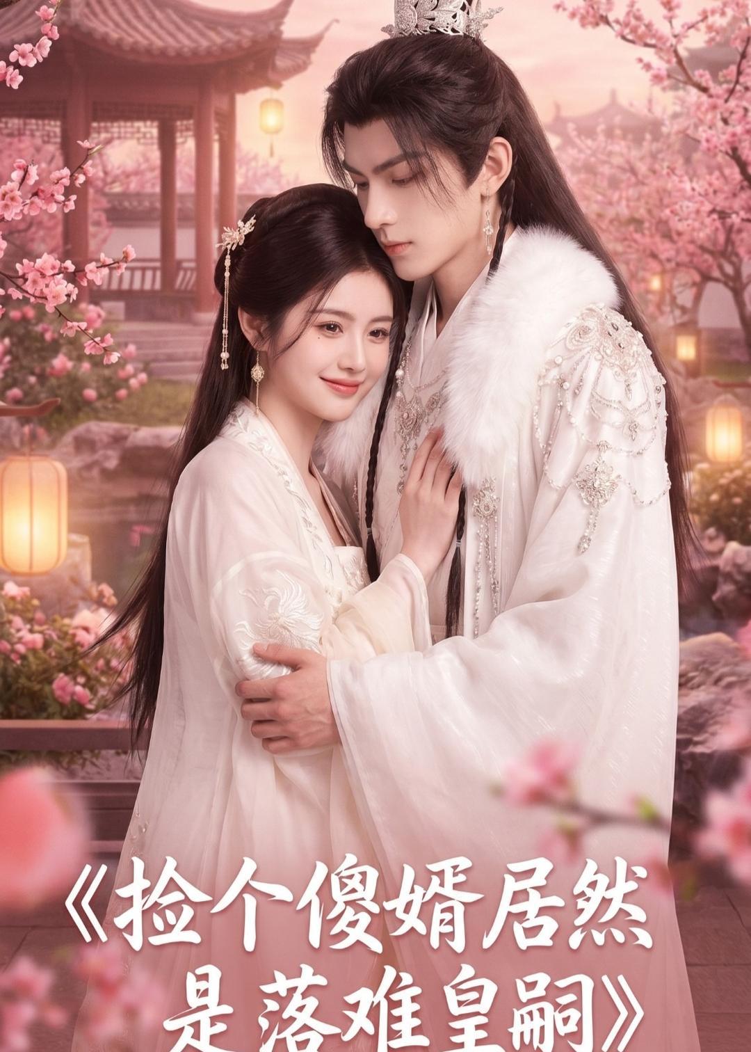 捡个傻婿居然是落难皇嗣海报