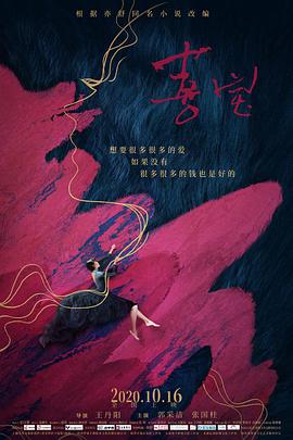 喜宝2020海报