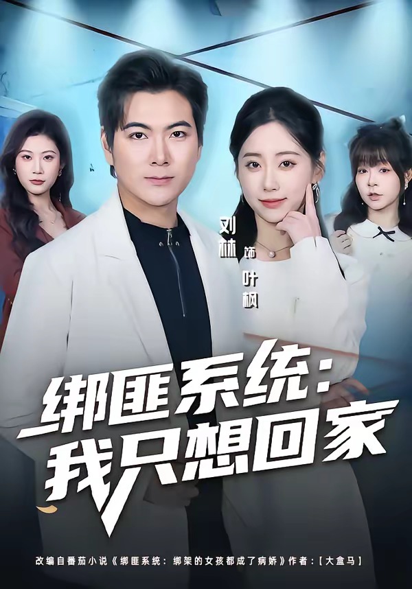 绑匪系统：我只想回家海报