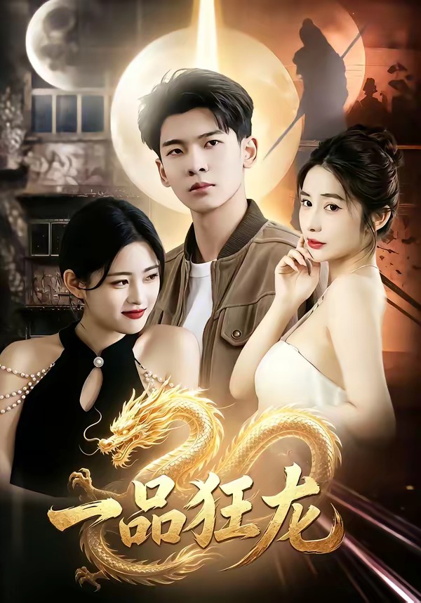 一品狂龙海报